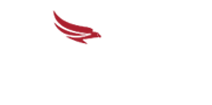 Falcon Aviation