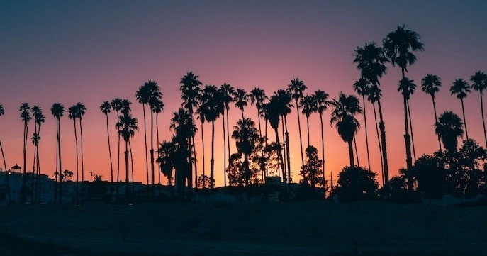 Santa Barbara Night Flight