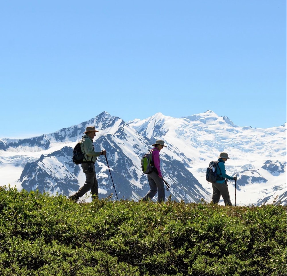 Heli Hiking 2 Hours - SEWARD