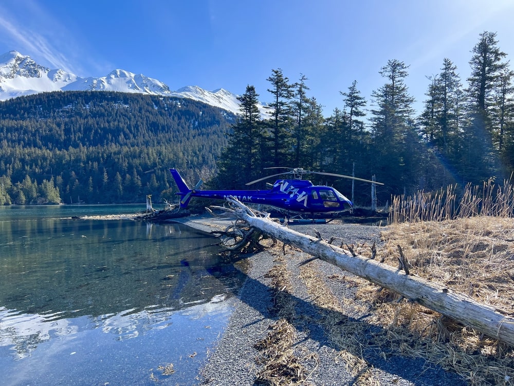 Kachemak Bay Beach Discovery - HOMER