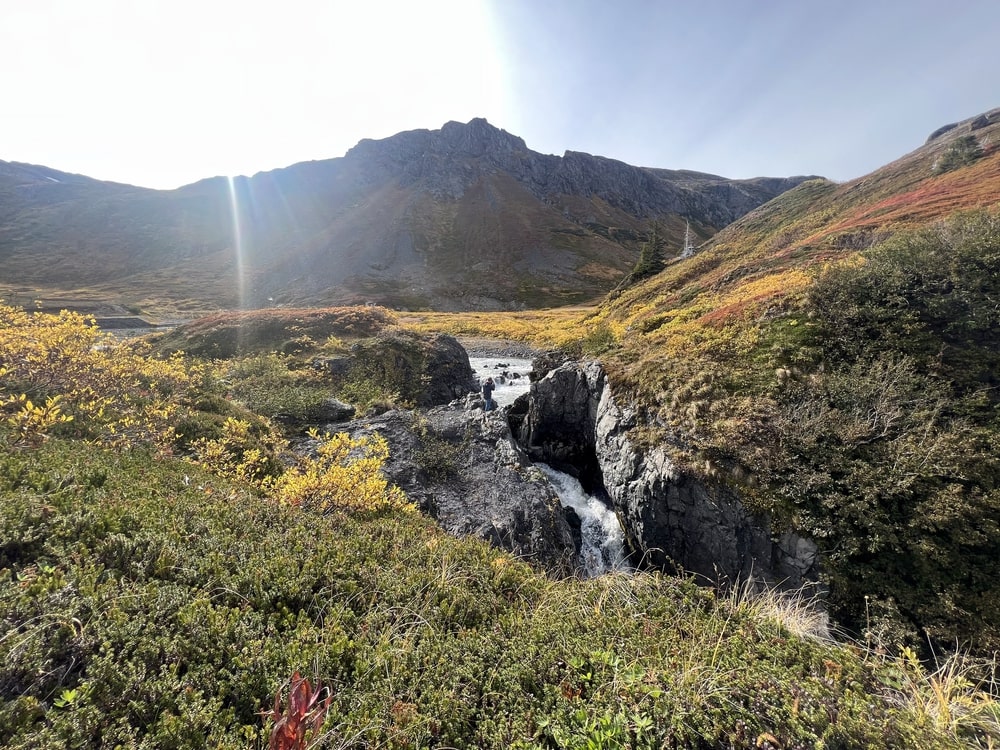 Grand Homer - Glaciers and Waterfalls - Photo 2