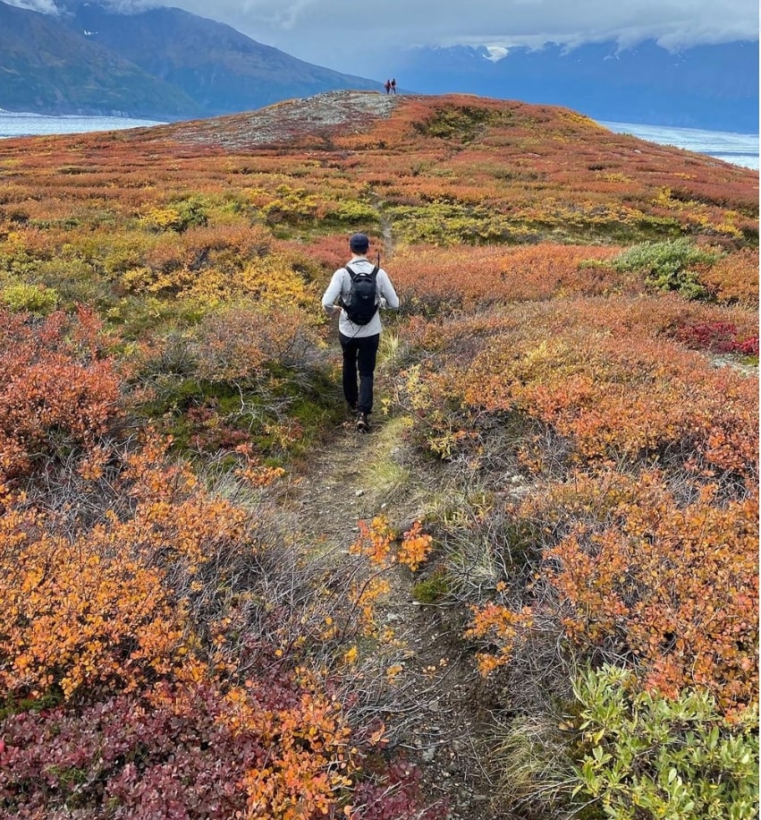 Heli Hiking - Seward 4 Hour - Photo 3