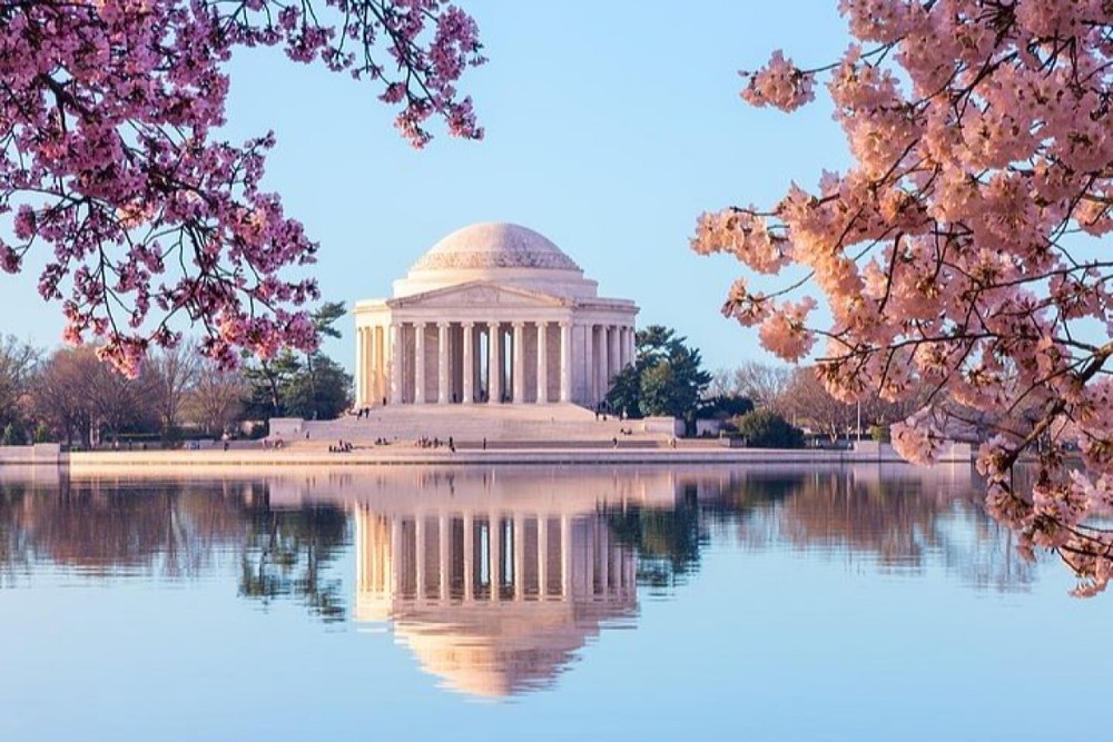 Washington D.C. Day Trip from Manhattan - Photo 3