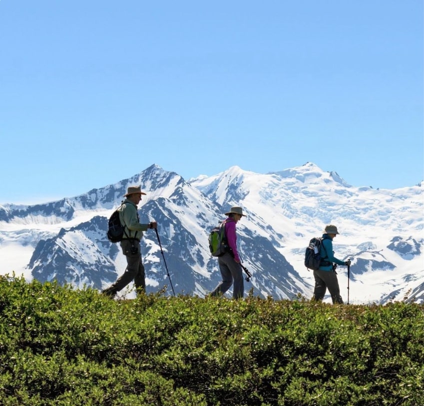 Heli Hiking - Seward 4 Hour - Photo 2