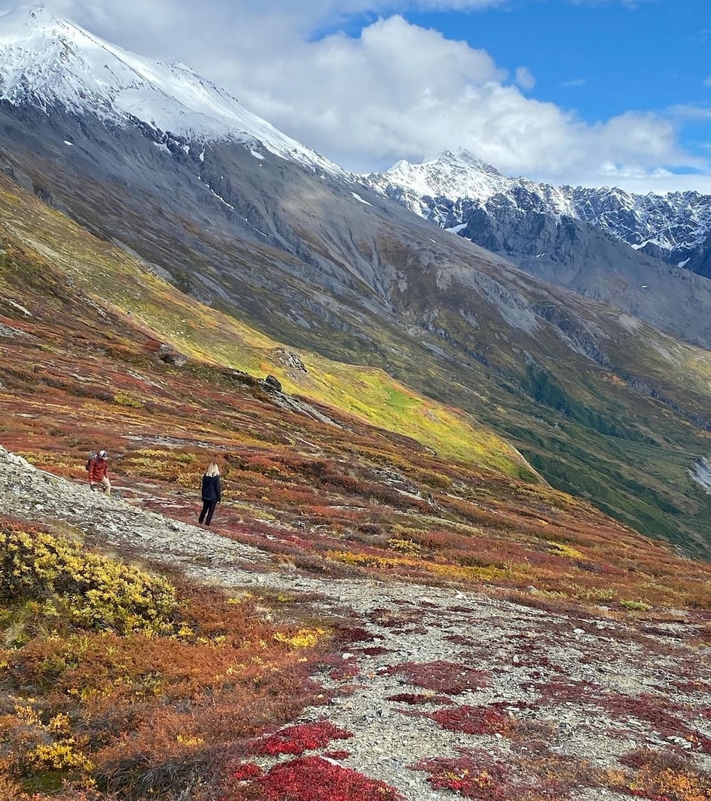 Heli Hiking 2 Hours - SEWARD - Photo 3