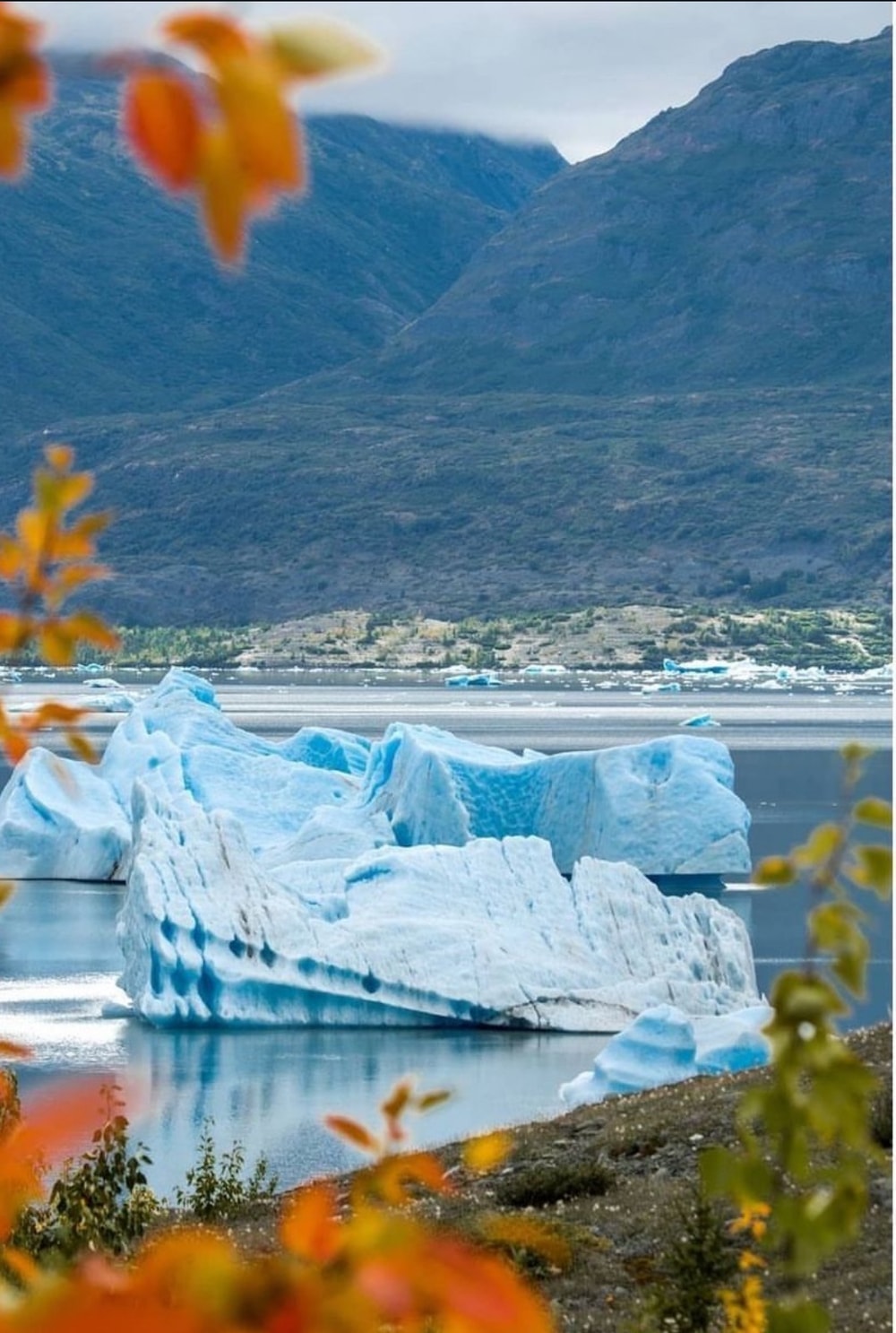 Grand Seward Ocean & Icebergs