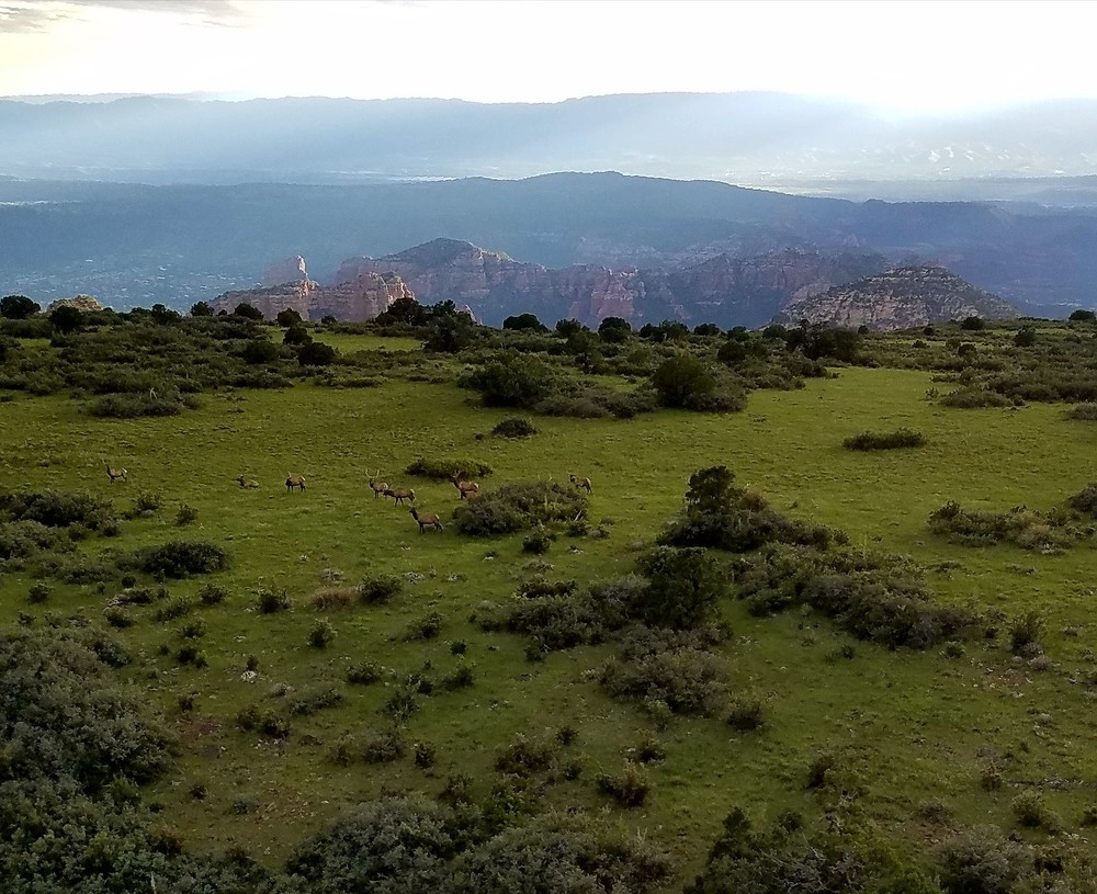 Mogollon Rim Helicopter Tour