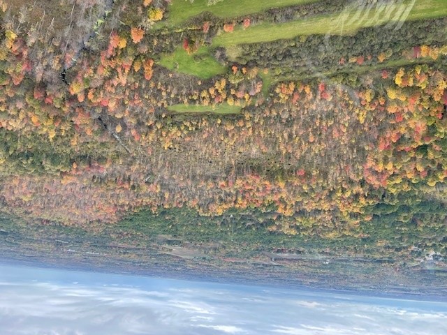 Allegan Tours - Photo 3