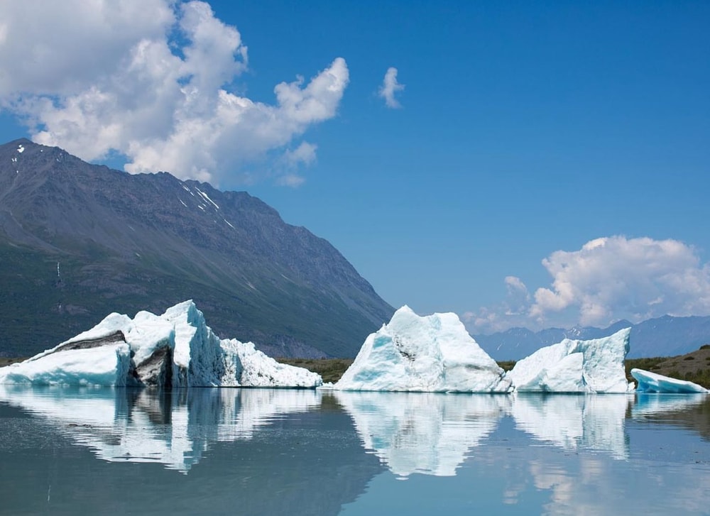 Bear Glacier Tour- 60 Minutes