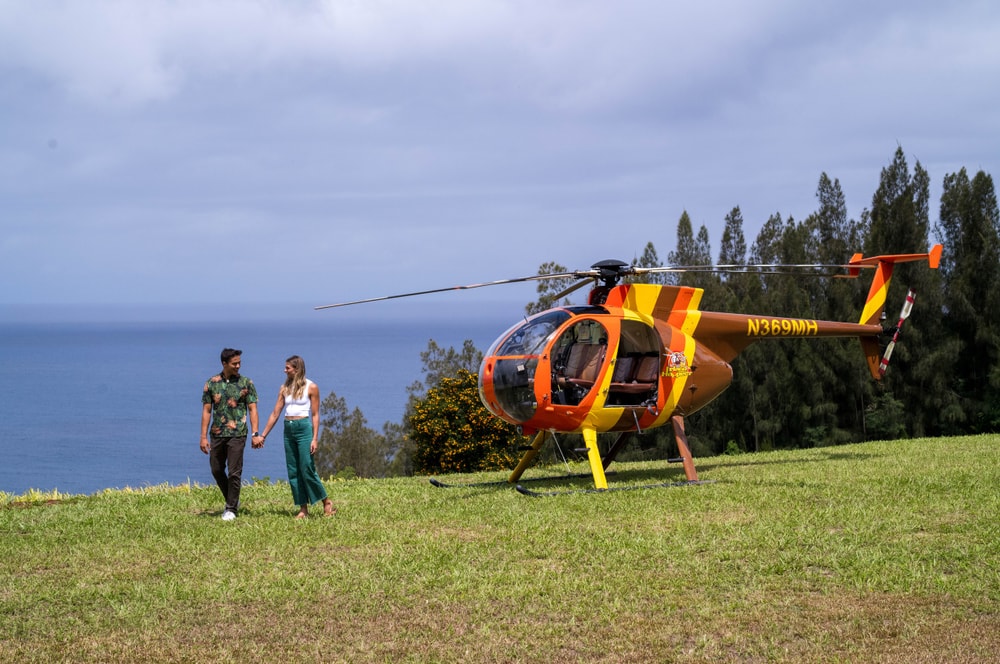 Private Helicopter Landing - Photo 2