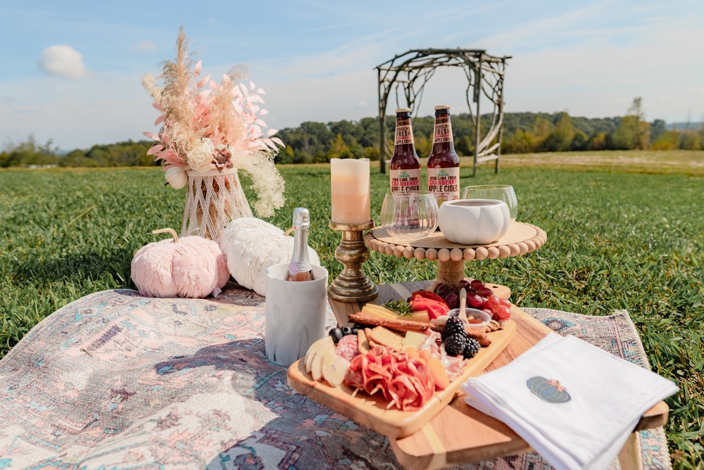Scenic Flight & Picnic in a Romantic Country Setting