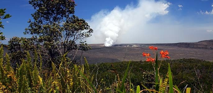 34W- Private Hawaii Volcano and Helicopter Tour from Oahu - Photo 2