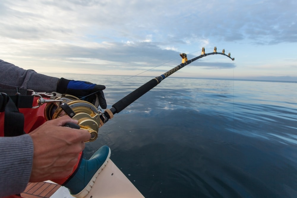 The Great Atlantic Fishing Adventure